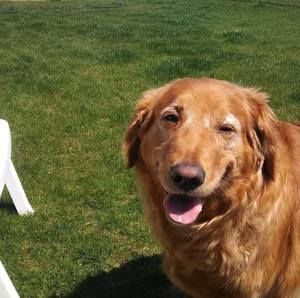 Meet your Posher, Jeff